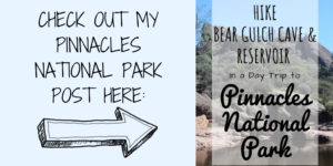 "My trip to Pinnacles National Park"