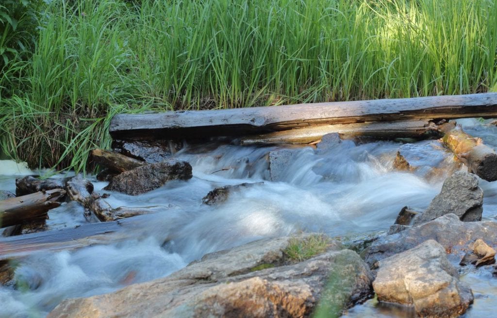 stream flowing over rocks and through grass