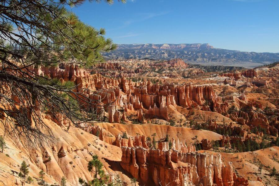 bryce canyon: orange hoodoos in a canyon