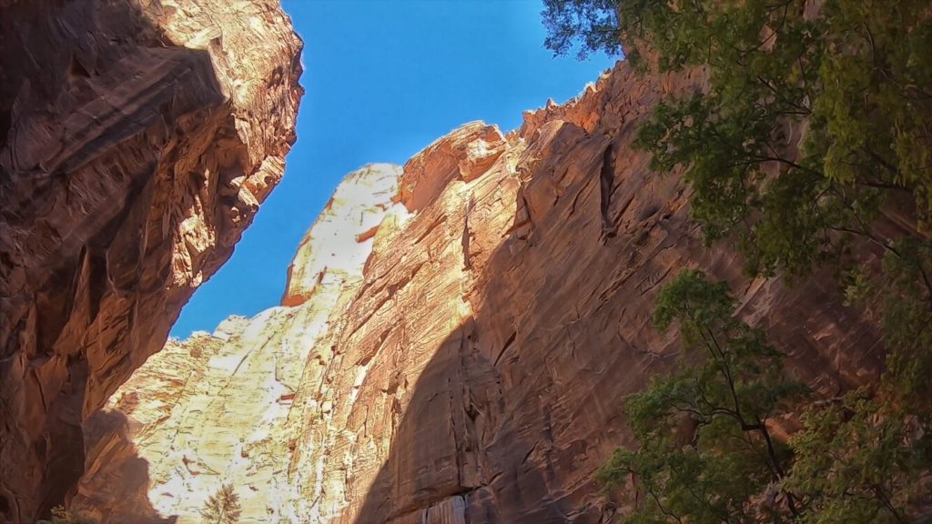 looking up between 2 tall canyon walls